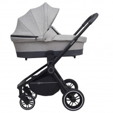 Коляска универсальная 2 в 1 Rant Flex Trends 